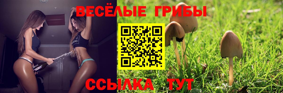 Галлюциногенные грибы Magic Shrooms Отрадный